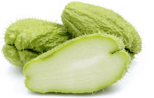 prickly Chayote squash