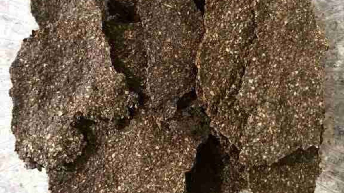 Close-up of several dark, irregularly shaped pieces with a rough texture, resembling a fibrous or organic material reminiscent of flaxseed crackers.