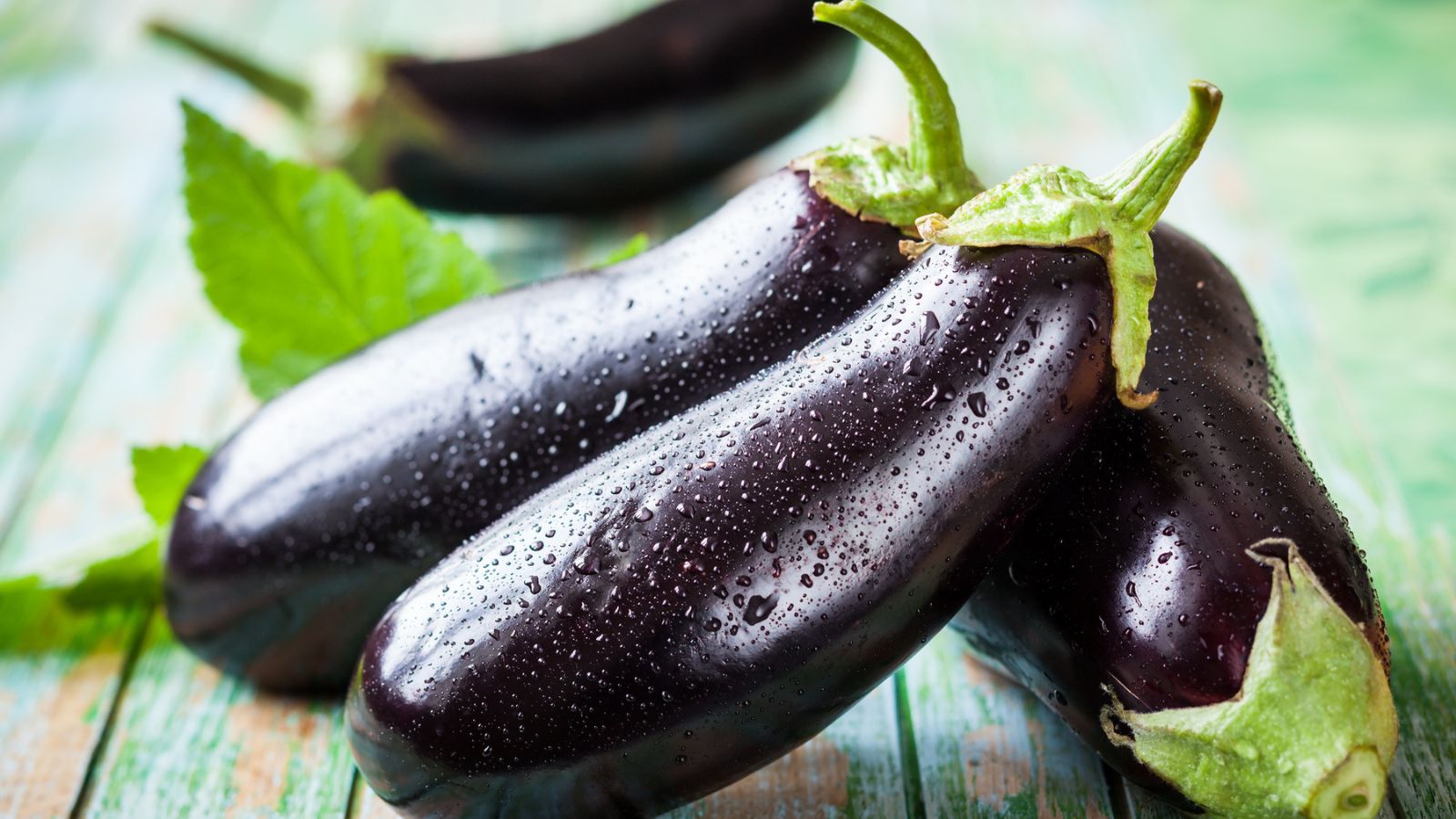 eggplant