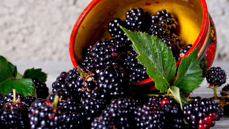 Blackberries spill from a decorative bowl onto a surface, with a few green leaves scattered among them.