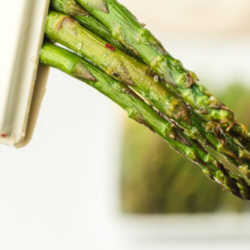 Close-up of fresh green asparagus held by a white clip. The background is blurred with a hint of more asparagus.