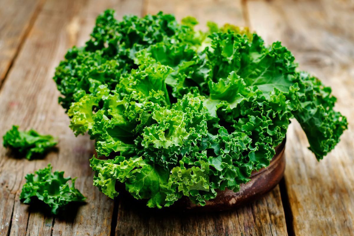 A bowl of fresh green curly kale sits on a rustic wooden surface.