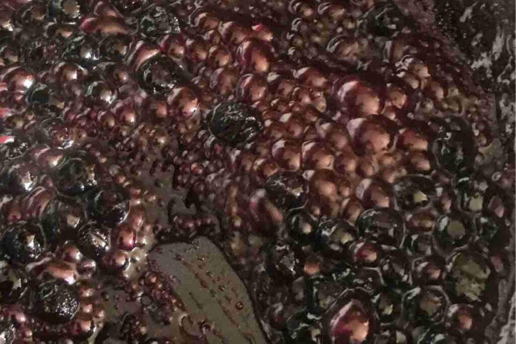 A close-up of sugar-free blueberry compote reveals a dark liquid with numerous small bubbles on the surface, creating a textured appearance.