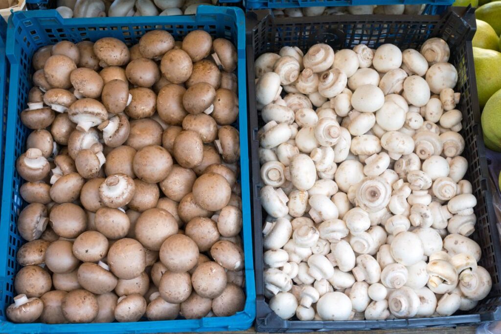 Two crates side by side contain brown mushrooms on the left and white mushrooms on the right at a market, perfect for those wondering if mushrooms are keto friendly.